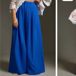 Anthropologie Maeve Avery Pleated Wide Leg Trousers